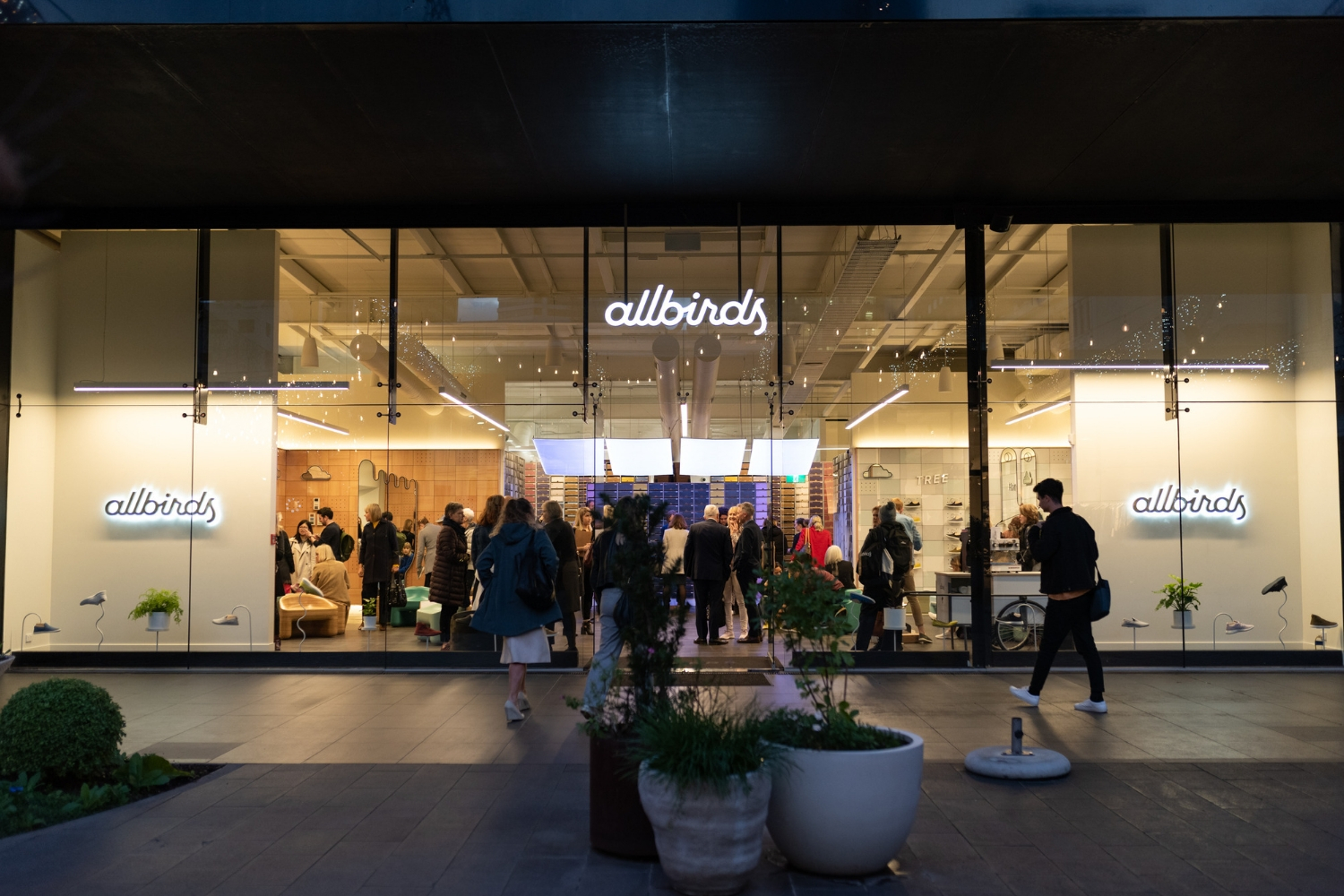 allbirds britomart